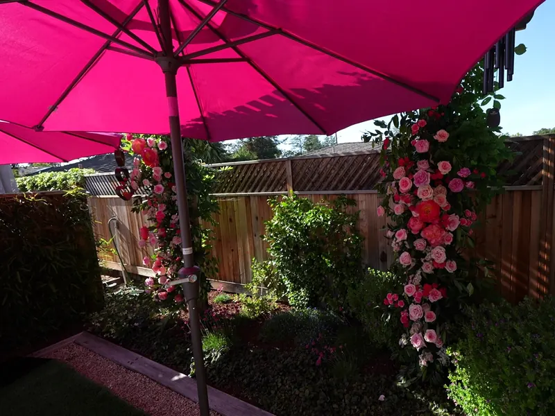 Rose-covered arch beside umbrella-shaded patio tables at a Sebastopol farm-table dinner