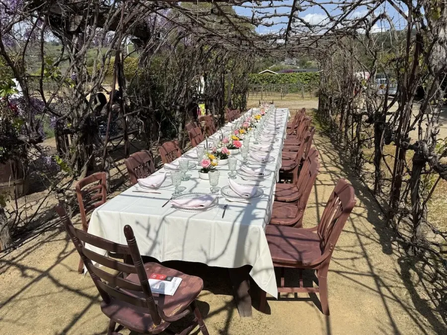 Long table set between the vines with a run of small blossom arrangements and simple settings — vineyard floral styling for Santa Rosa catering